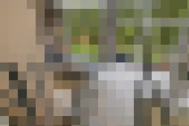 Burggraaf 13 Heerenveen thumbnail 16