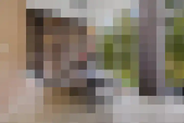 Burggraaf 13 Heerenveen thumbnail 17