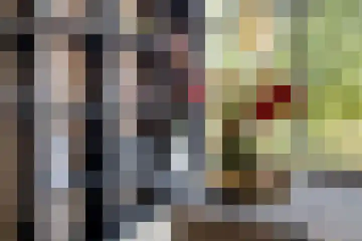 Burggraaf 13 Heerenveen thumbnail 18