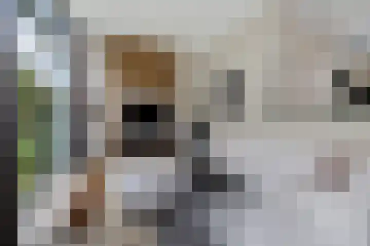 Burggraaf 13 Heerenveen thumbnail 19