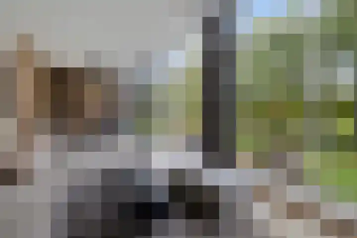 Burggraaf 13 Heerenveen thumbnail 20