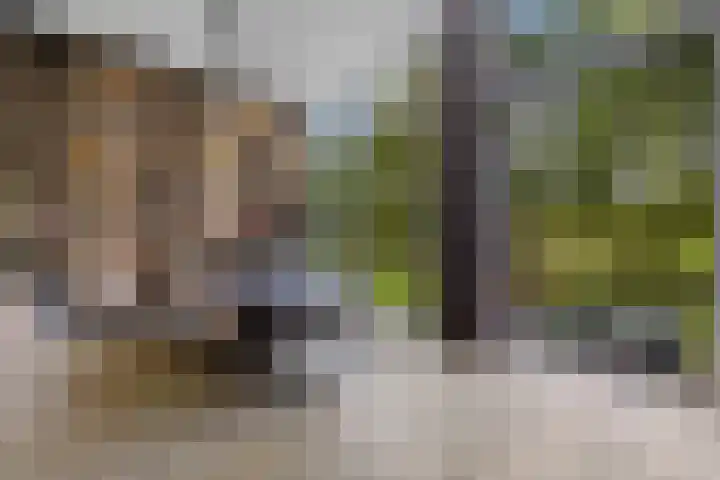 Burggraaf 13 Heerenveen thumbnail 21