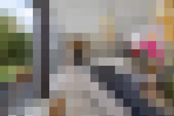 Burggraaf 13 Heerenveen thumbnail 22