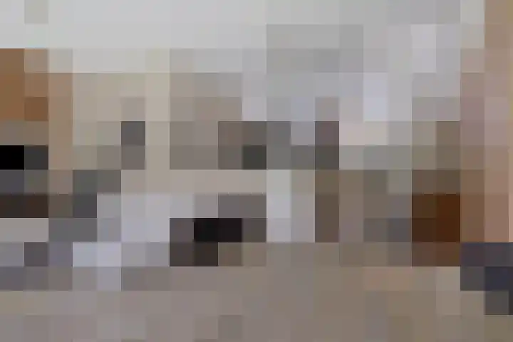 Burggraaf 13 Heerenveen thumbnail 23