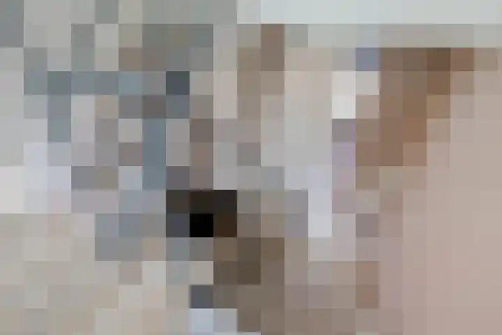 Burggraaf 13 Heerenveen thumbnail 24