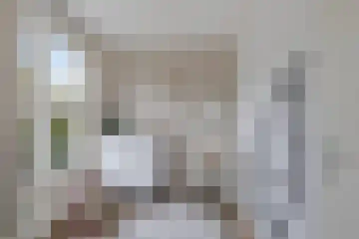 Burggraaf 13 Heerenveen thumbnail 30