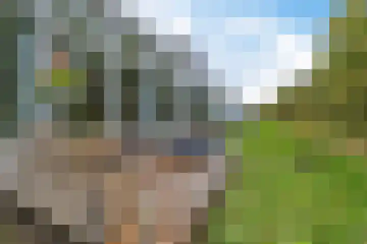 Burggraaf 13 Heerenveen thumbnail 38