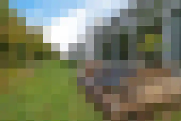 Burggraaf 13 Heerenveen thumbnail 39