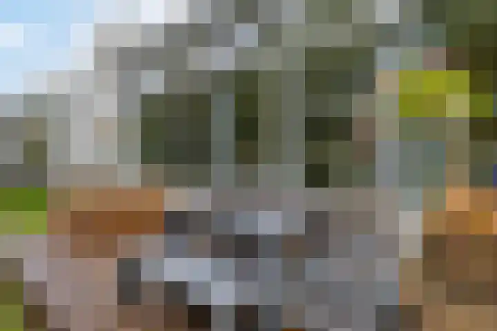 Burggraaf 13 Heerenveen thumbnail 40