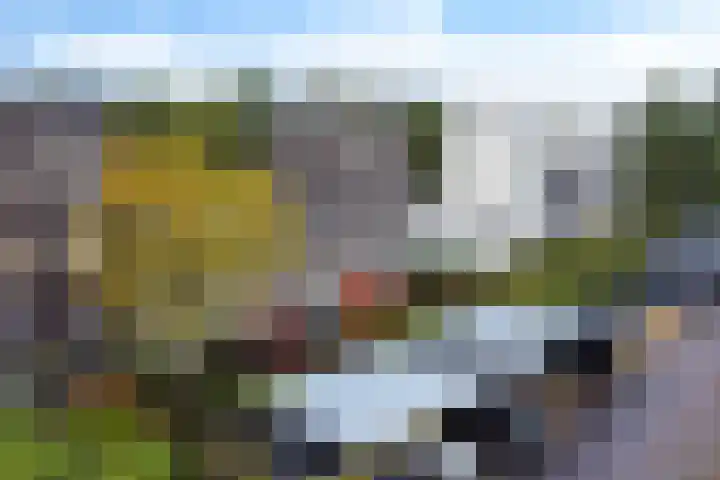 Burggraaf 13 Heerenveen thumbnail 43