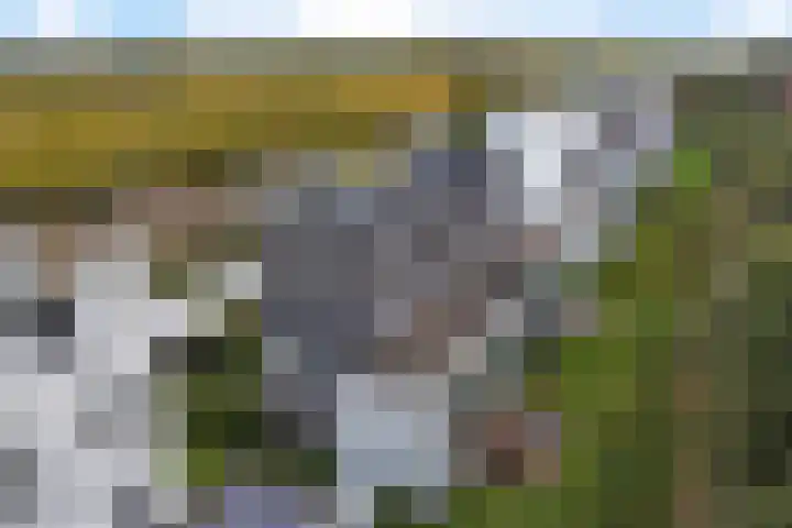 Burggraaf 13 Heerenveen thumbnail 45
