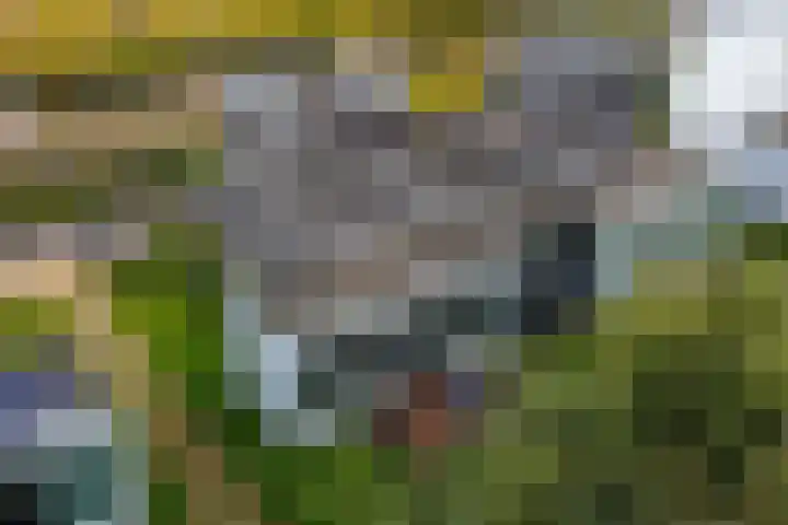Burggraaf 13 Heerenveen thumbnail 6