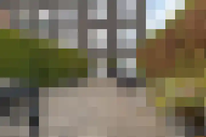 Burggraaf 13 Heerenveen thumbnail 8
