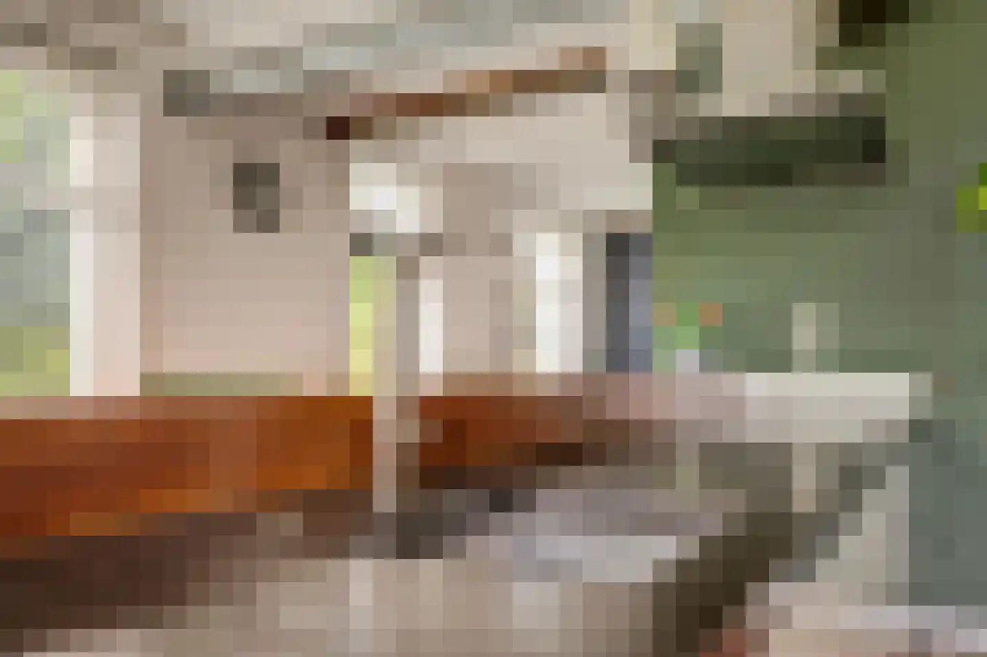 Burggraaf 22 Meerkerk thumbnail 10