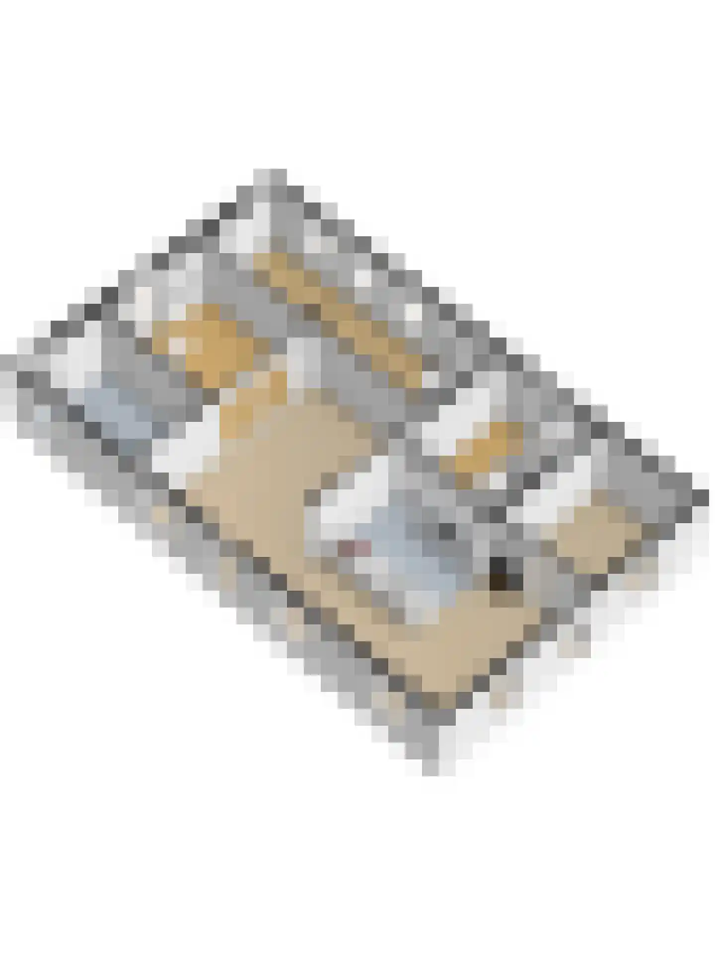 Burggraaf 22 Meerkerk thumbnail 100