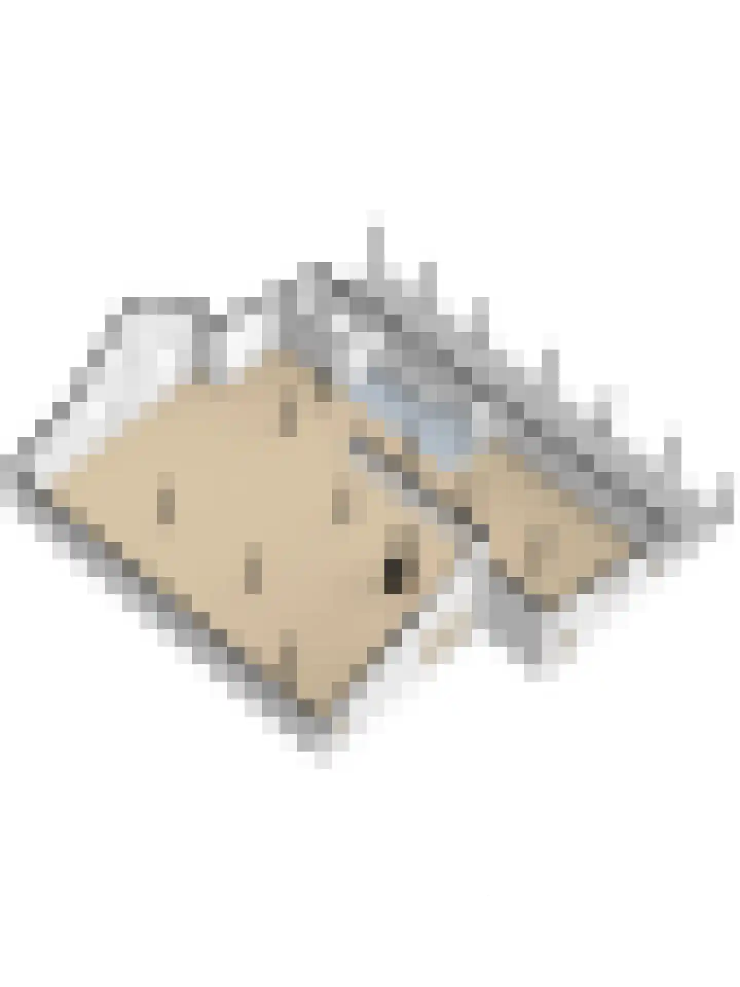 Burggraaf 22 Meerkerk thumbnail 106