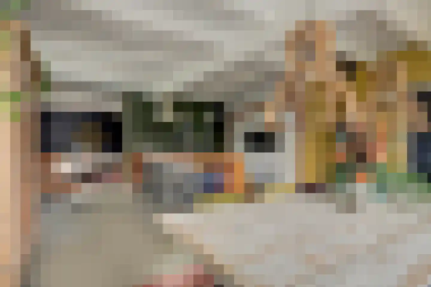 Burggraaf 22 Meerkerk thumbnail 12