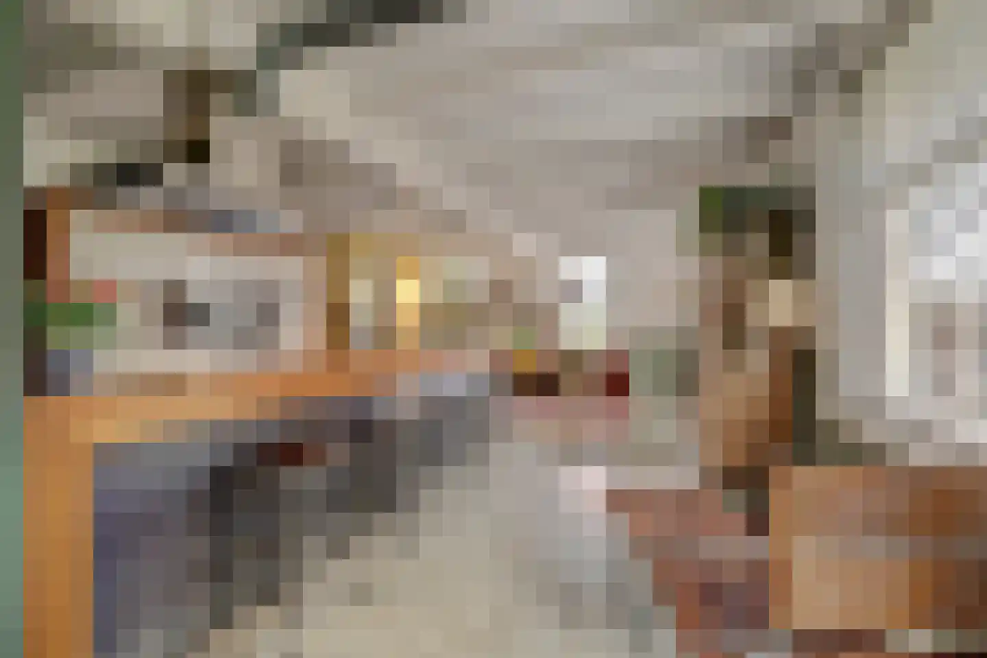 Burggraaf 22 Meerkerk thumbnail 15