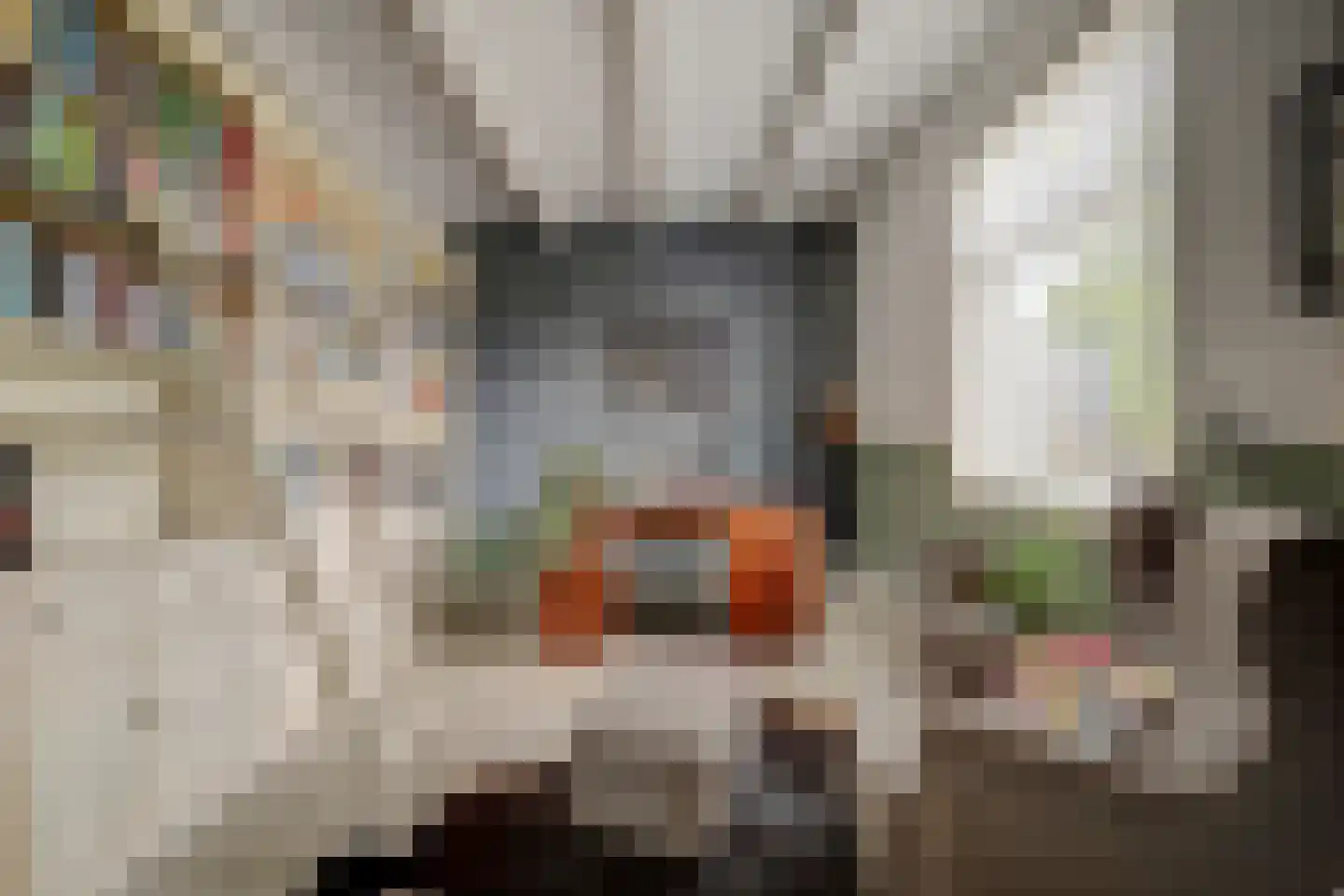 Burggraaf 22 Meerkerk thumbnail 16