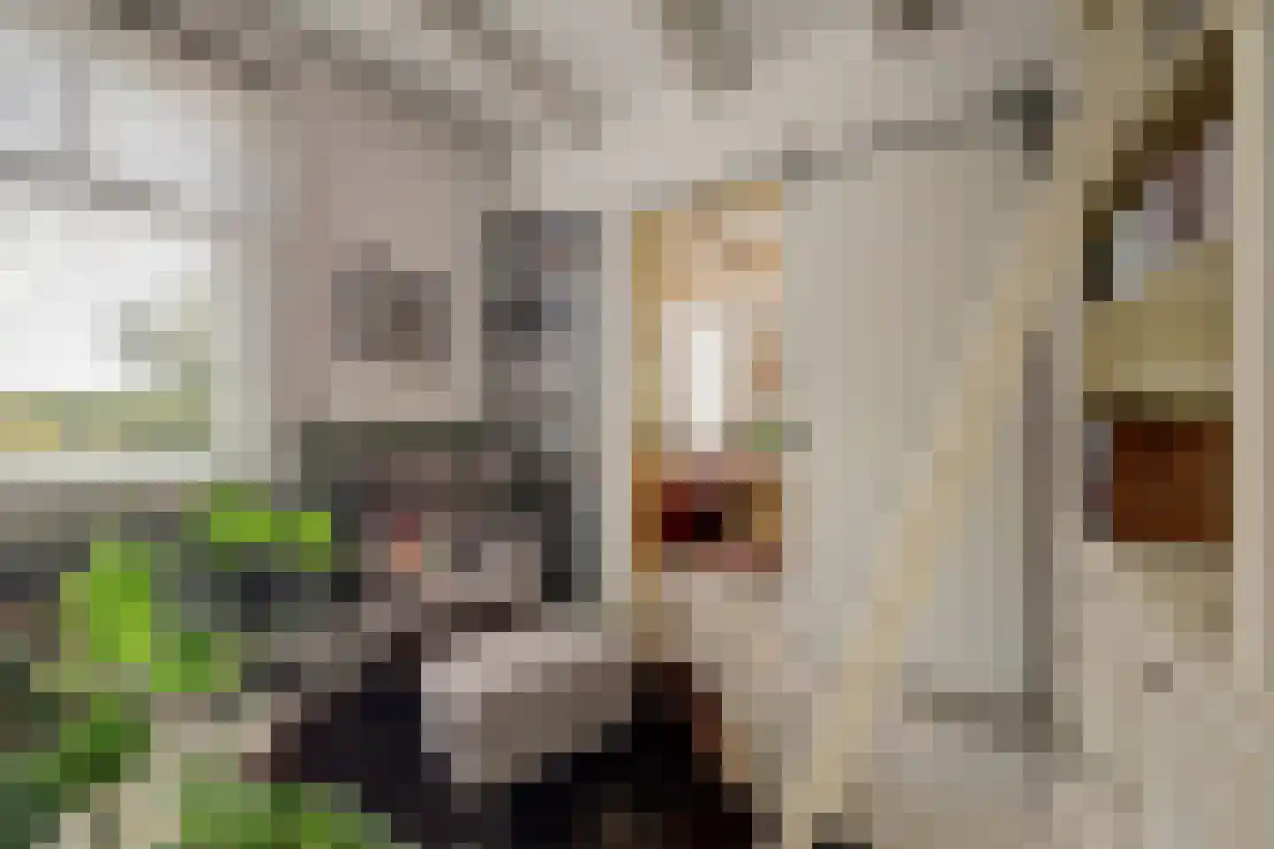 Burggraaf 22 Meerkerk thumbnail 17