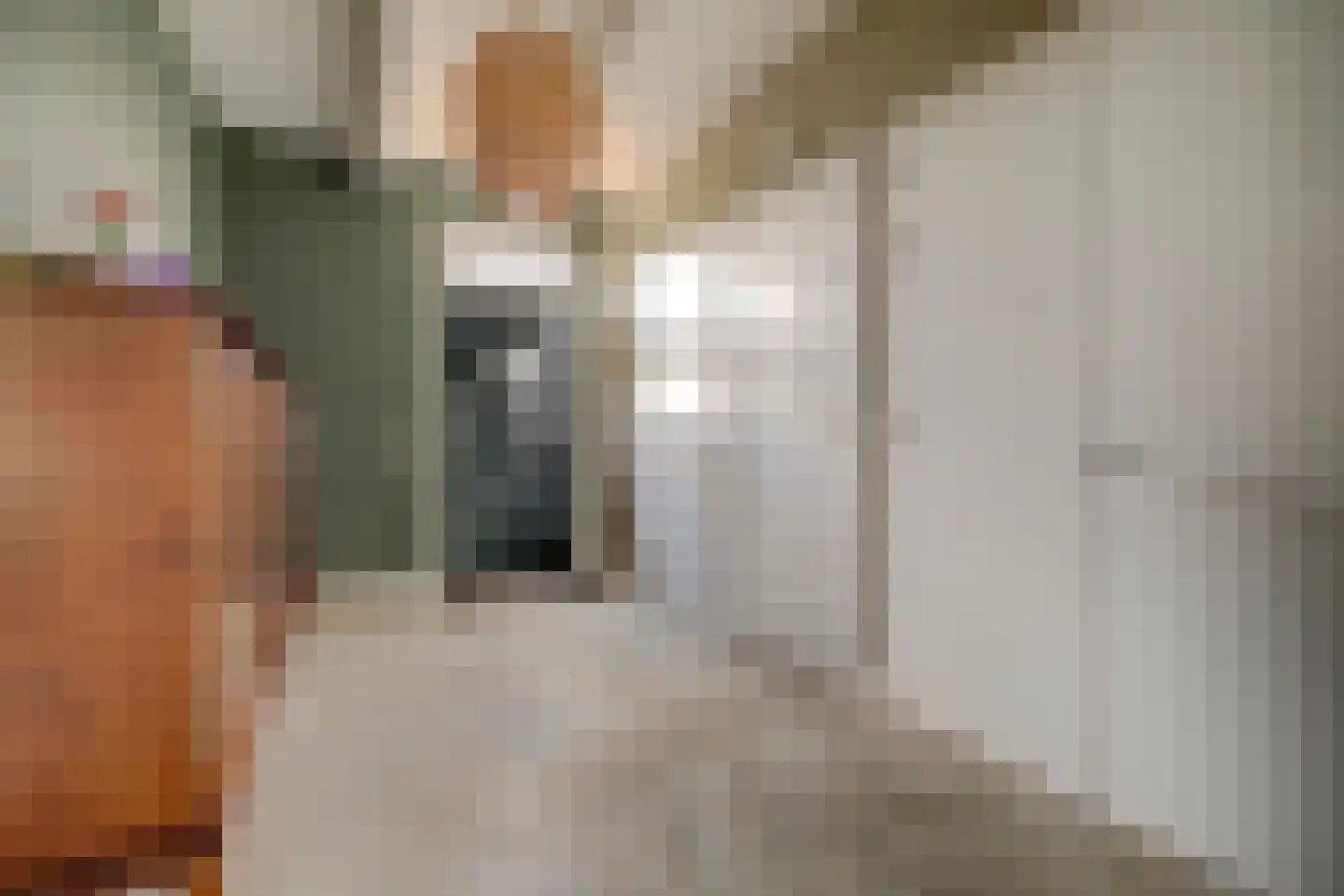 Burggraaf 22 Meerkerk thumbnail 19