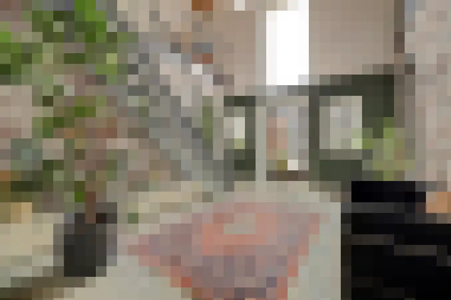Burggraaf 22 Meerkerk thumbnail 20