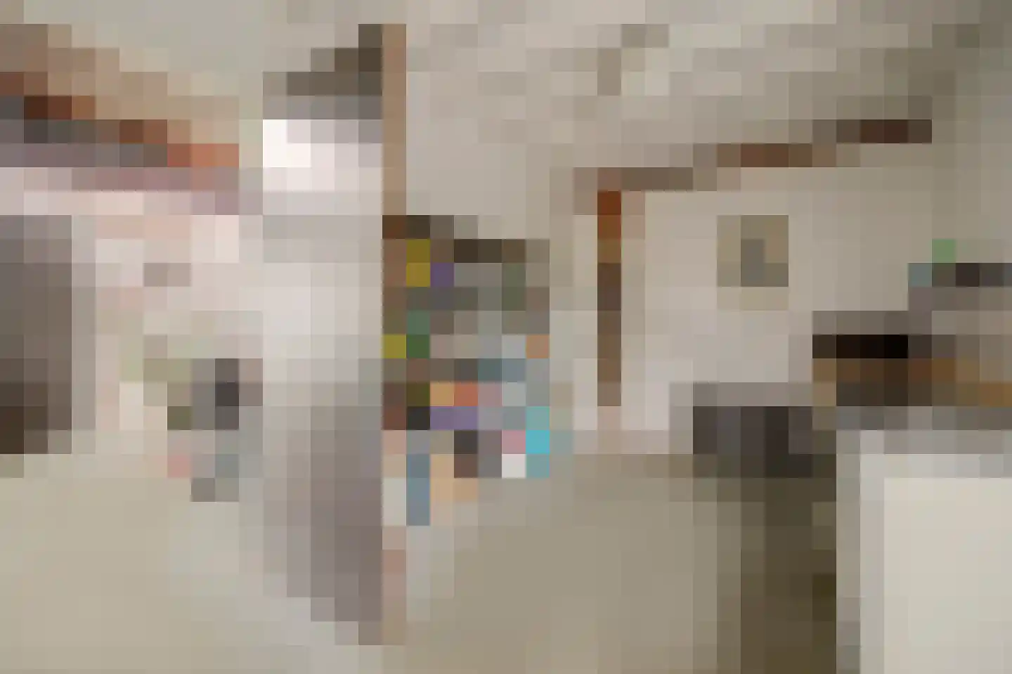 Burggraaf 22 Meerkerk thumbnail 21