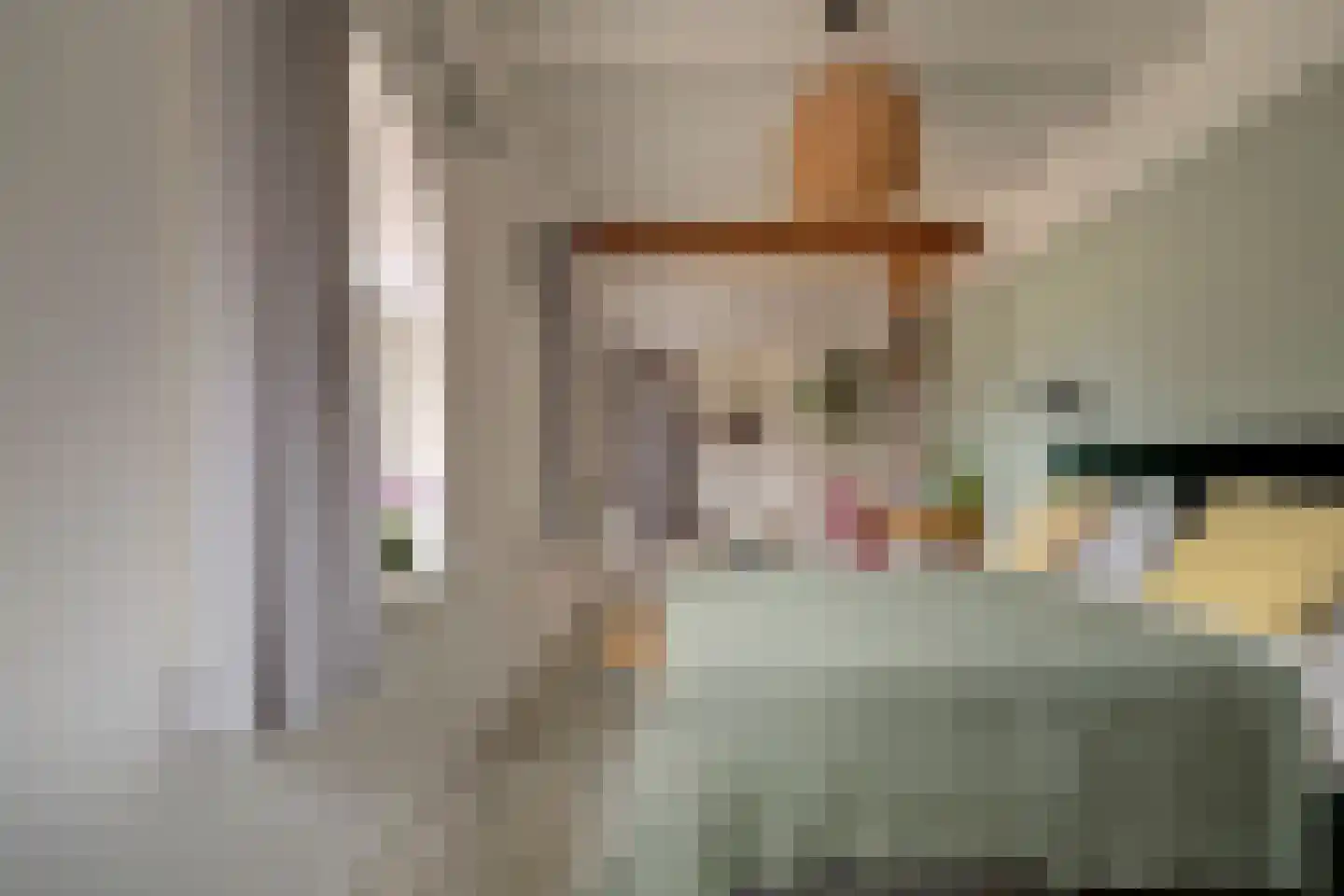 Burggraaf 22 Meerkerk thumbnail 22