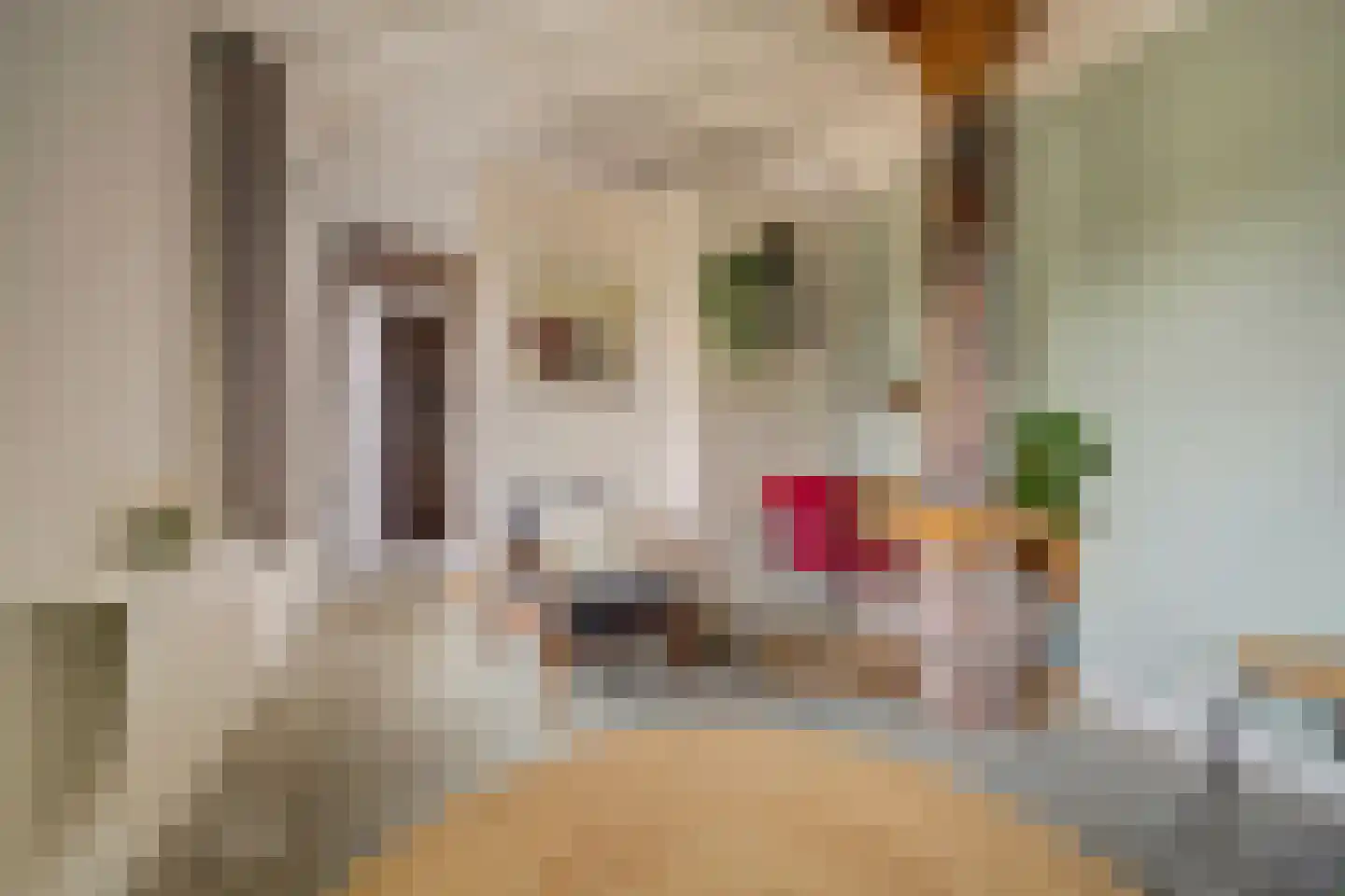 Burggraaf 22 Meerkerk thumbnail 24
