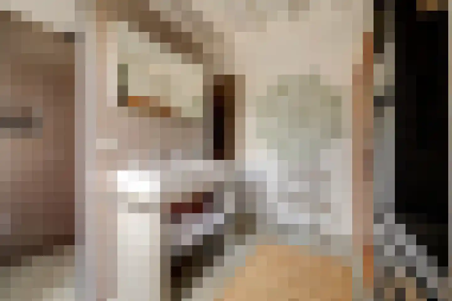 Burggraaf 22 Meerkerk thumbnail 25