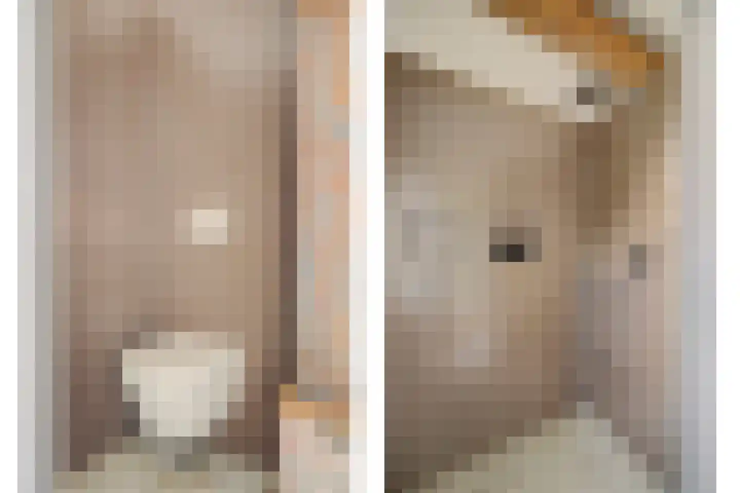 Burggraaf 22 Meerkerk thumbnail 26