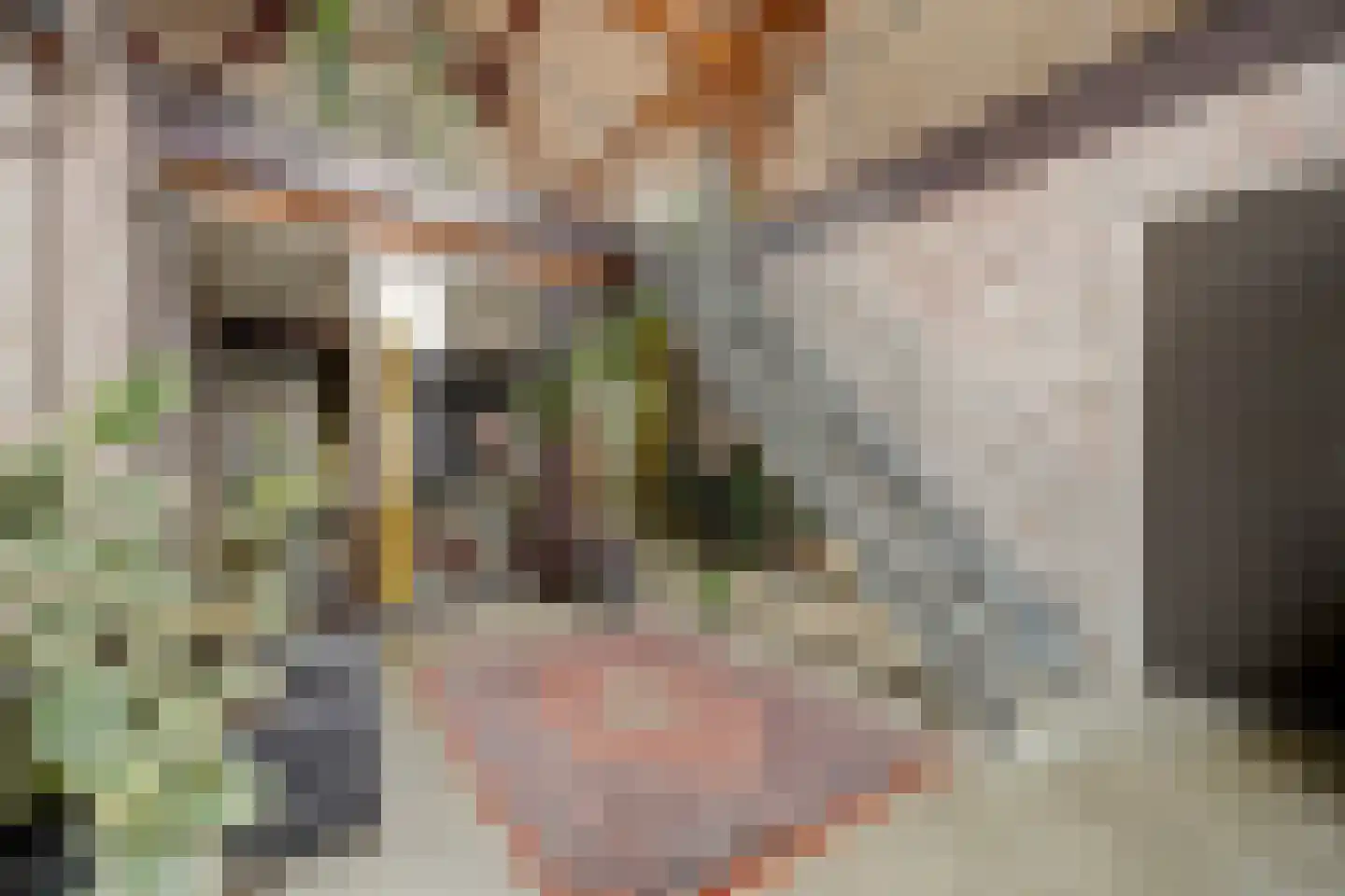 Burggraaf 22 Meerkerk thumbnail 29