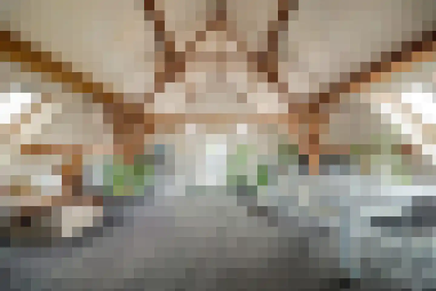 Burggraaf 22 Meerkerk thumbnail 30
