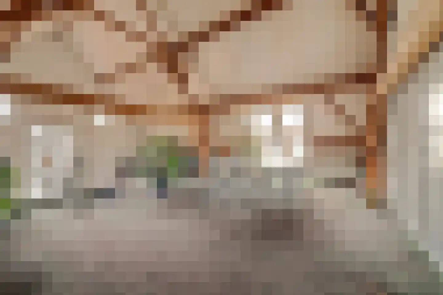 Burggraaf 22 Meerkerk thumbnail 31