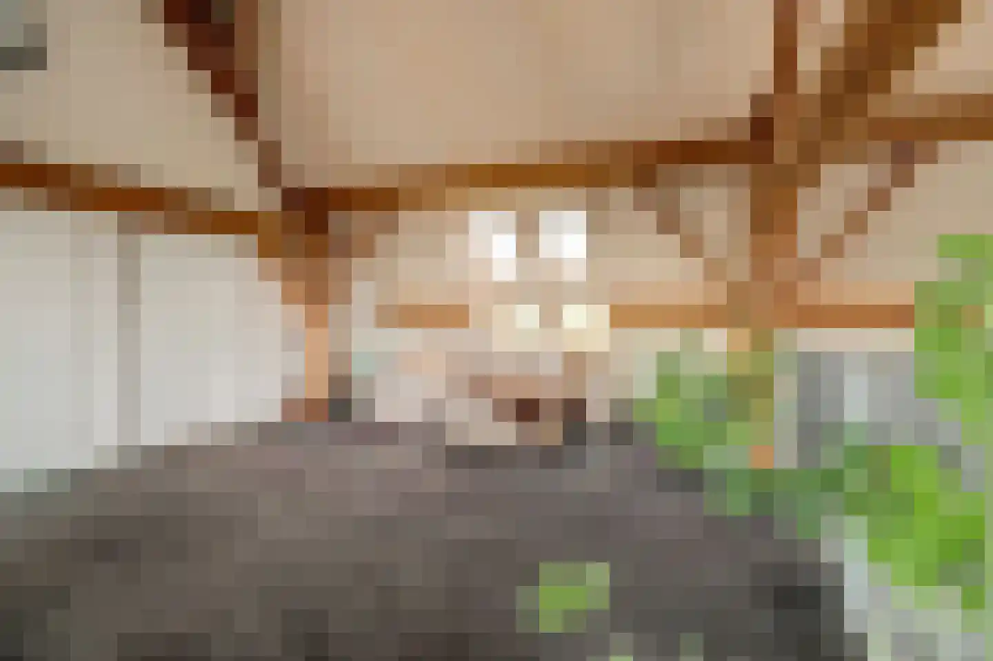 Burggraaf 22 Meerkerk thumbnail 32