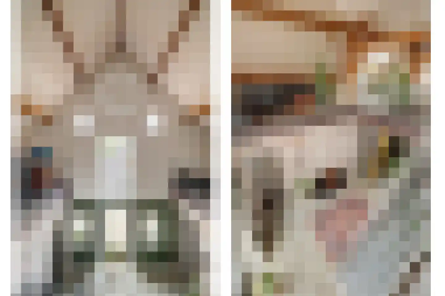 Burggraaf 22 Meerkerk thumbnail 33