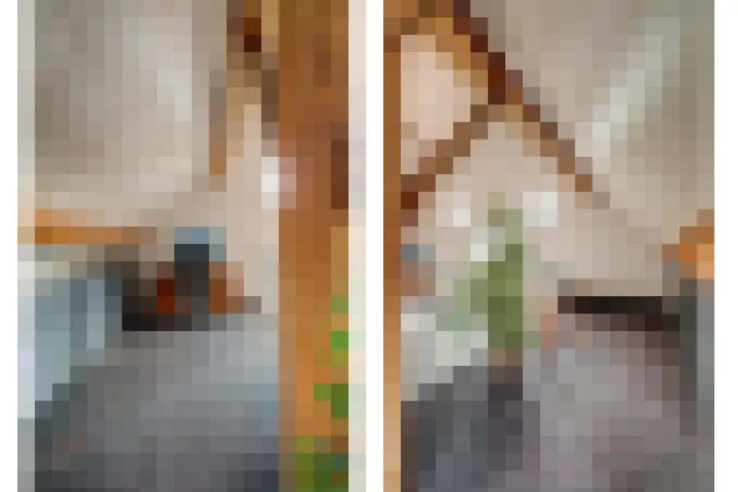 Burggraaf 22 Meerkerk thumbnail 34