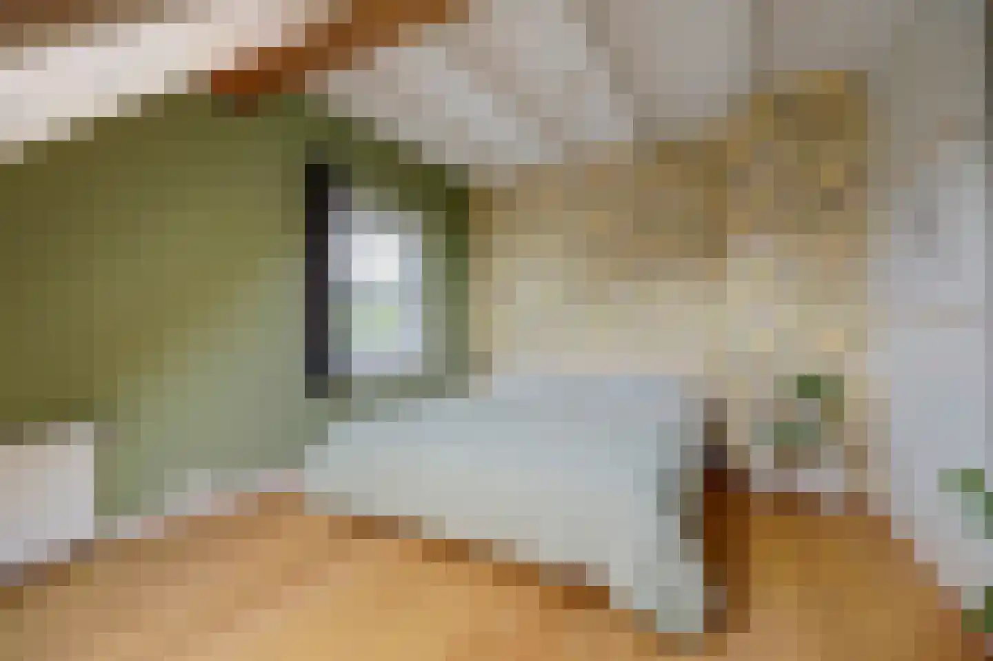 Burggraaf 22 Meerkerk thumbnail 37
