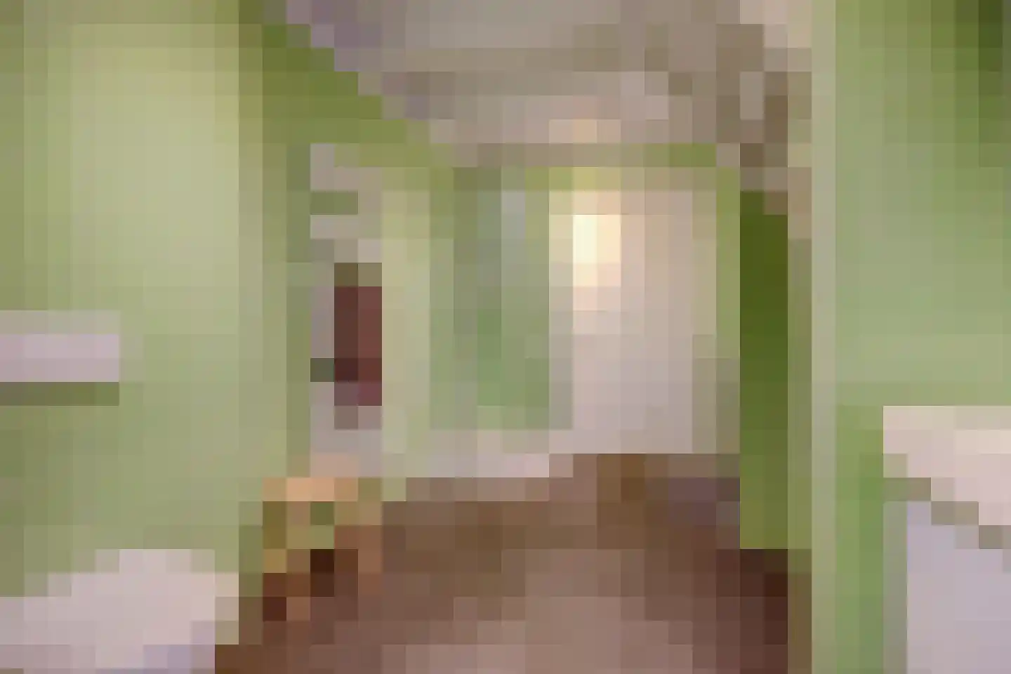 Burggraaf 22 Meerkerk thumbnail 39