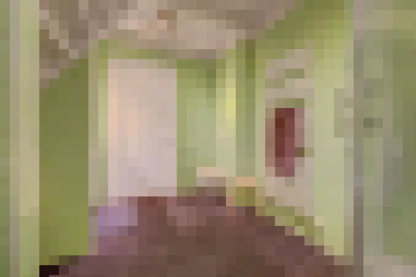 Burggraaf 22 Meerkerk thumbnail 40