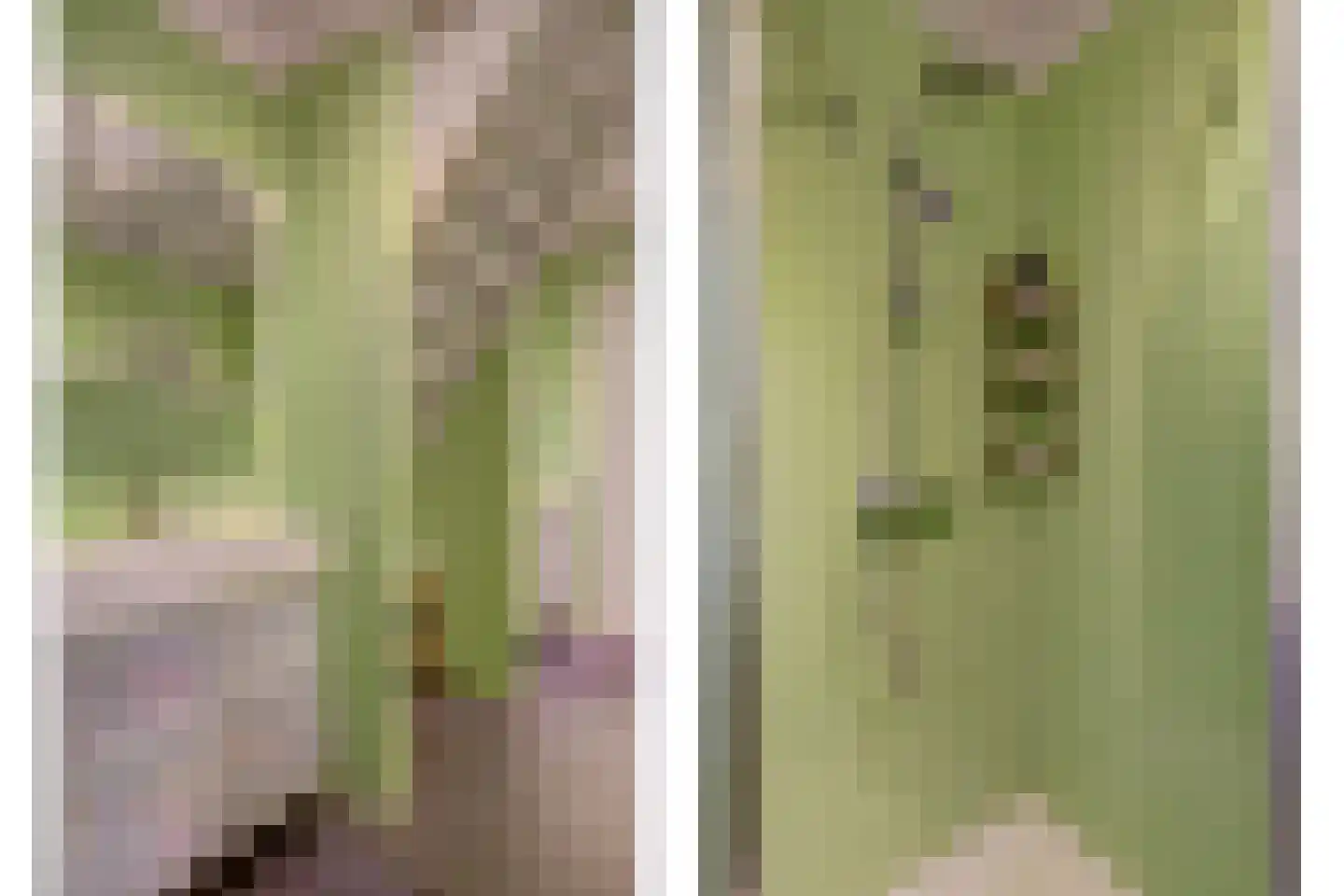 Burggraaf 22 Meerkerk thumbnail 41