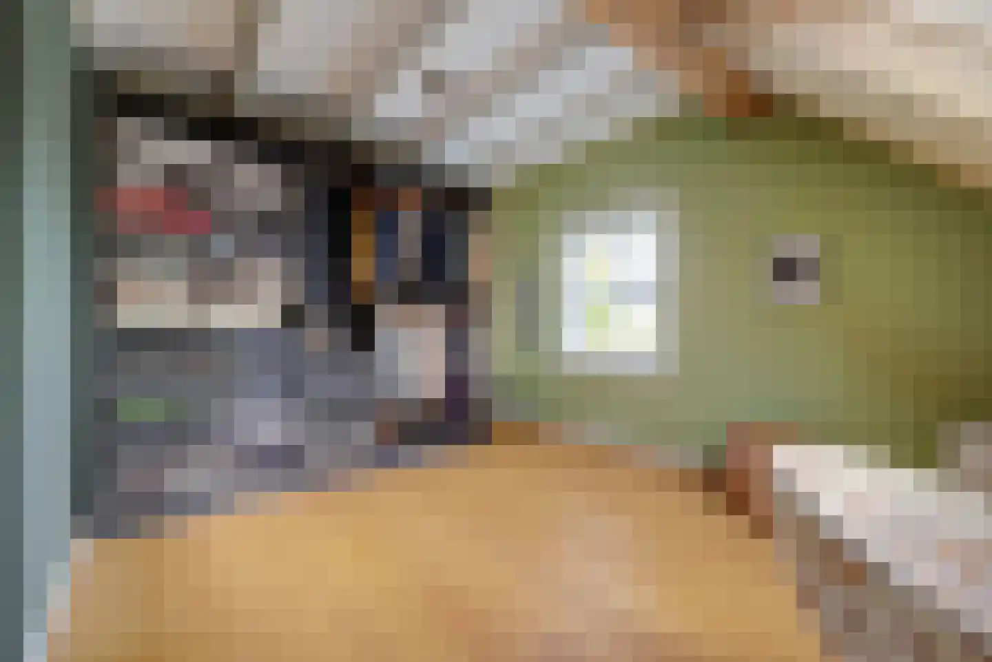 Burggraaf 22 Meerkerk thumbnail 44