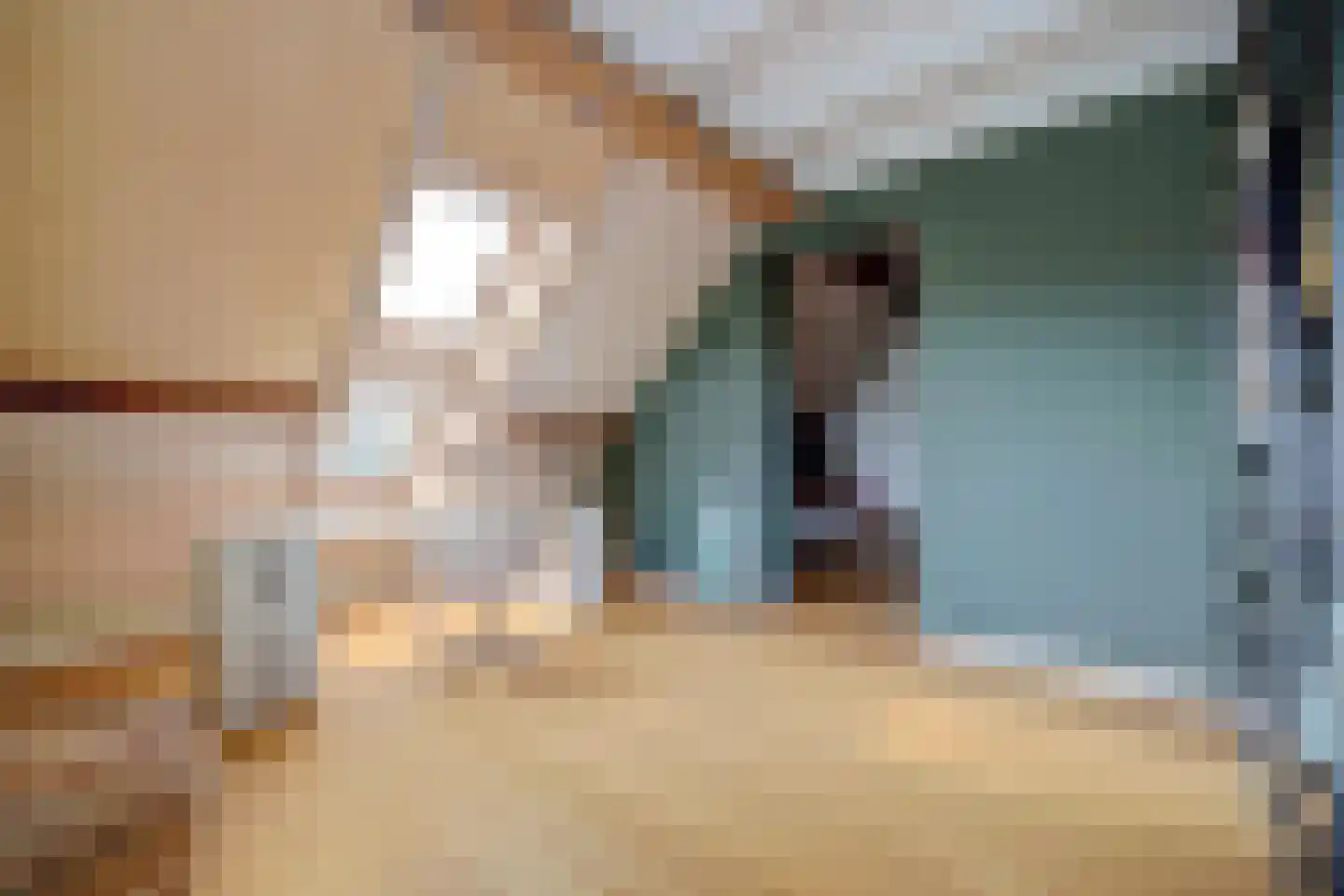 Burggraaf 22 Meerkerk thumbnail 45