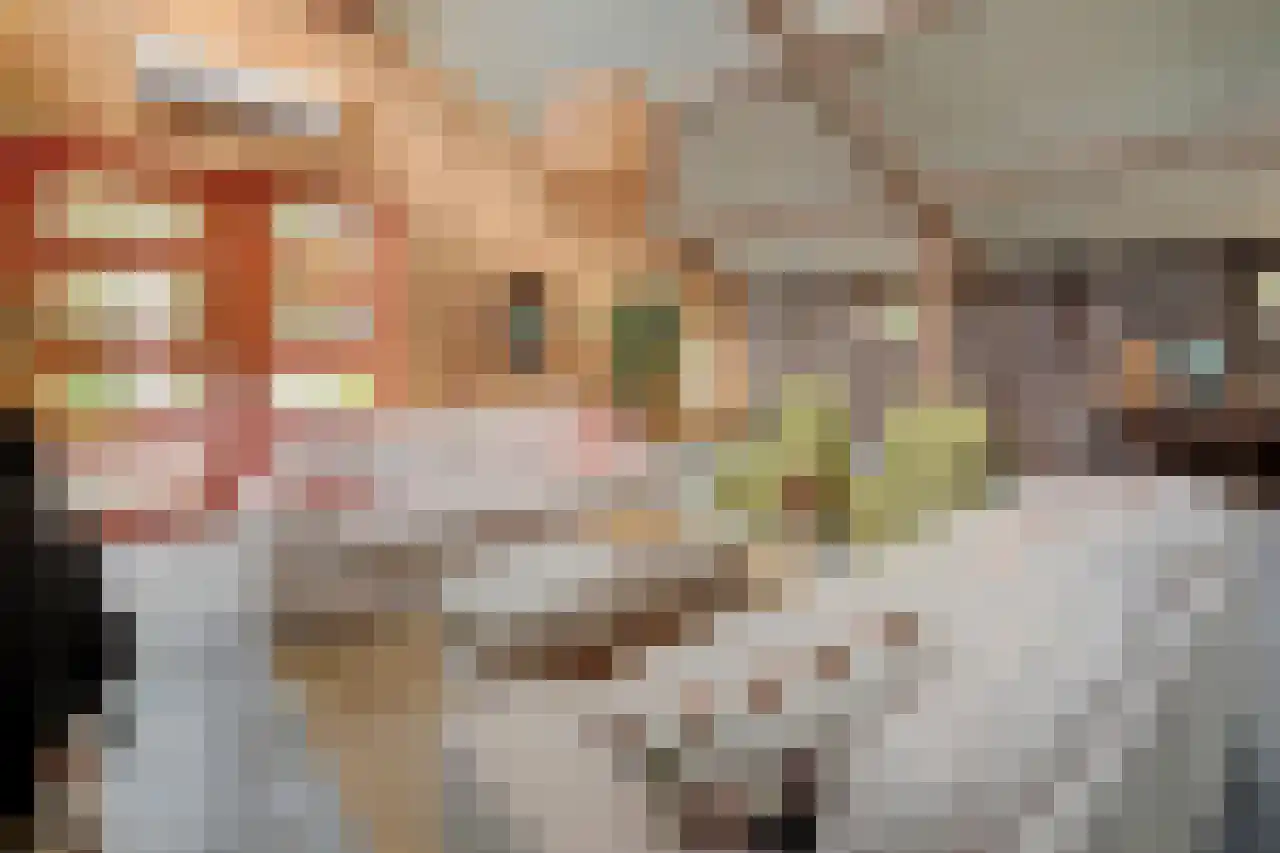 Burggraaf 22 Meerkerk thumbnail 49