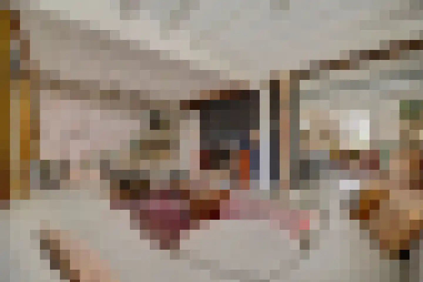 Burggraaf 22 Meerkerk thumbnail 5