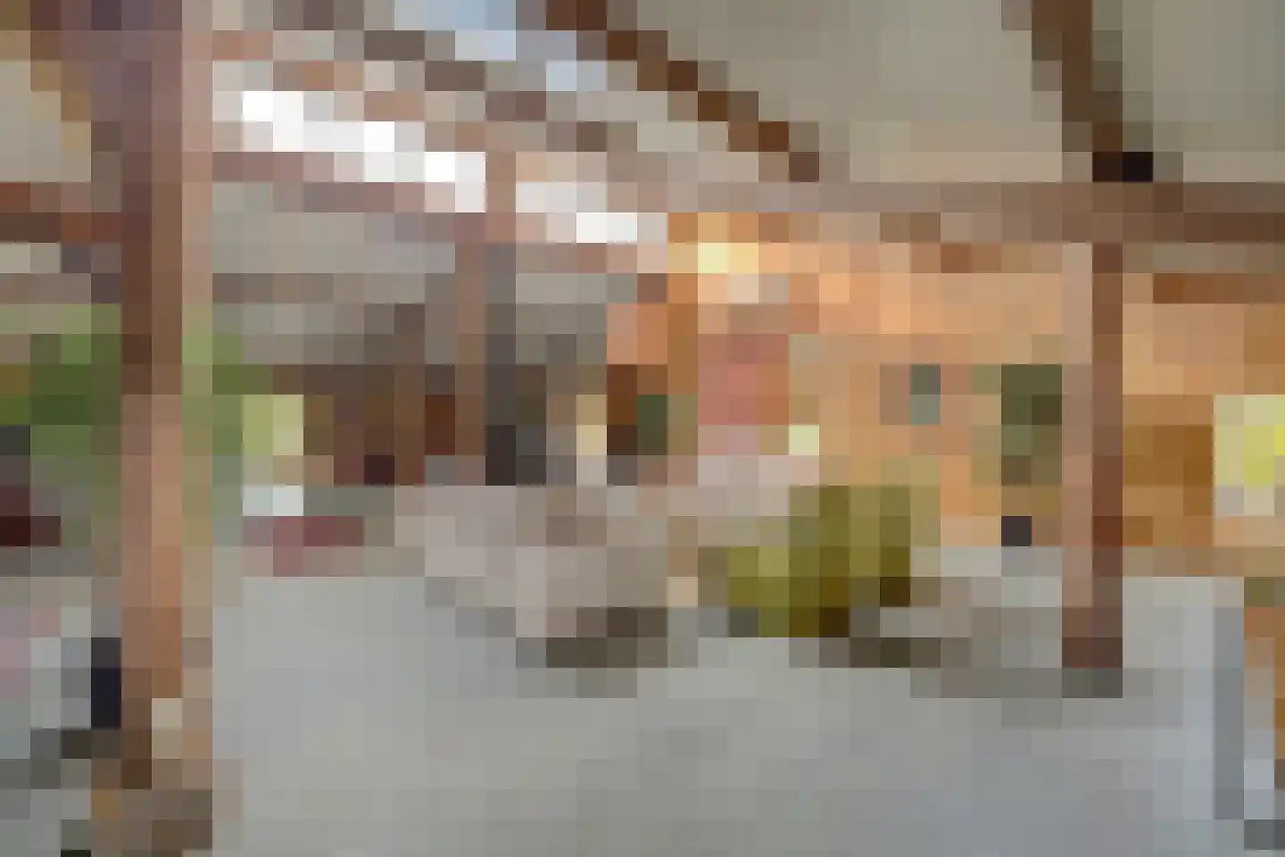 Burggraaf 22 Meerkerk thumbnail 50