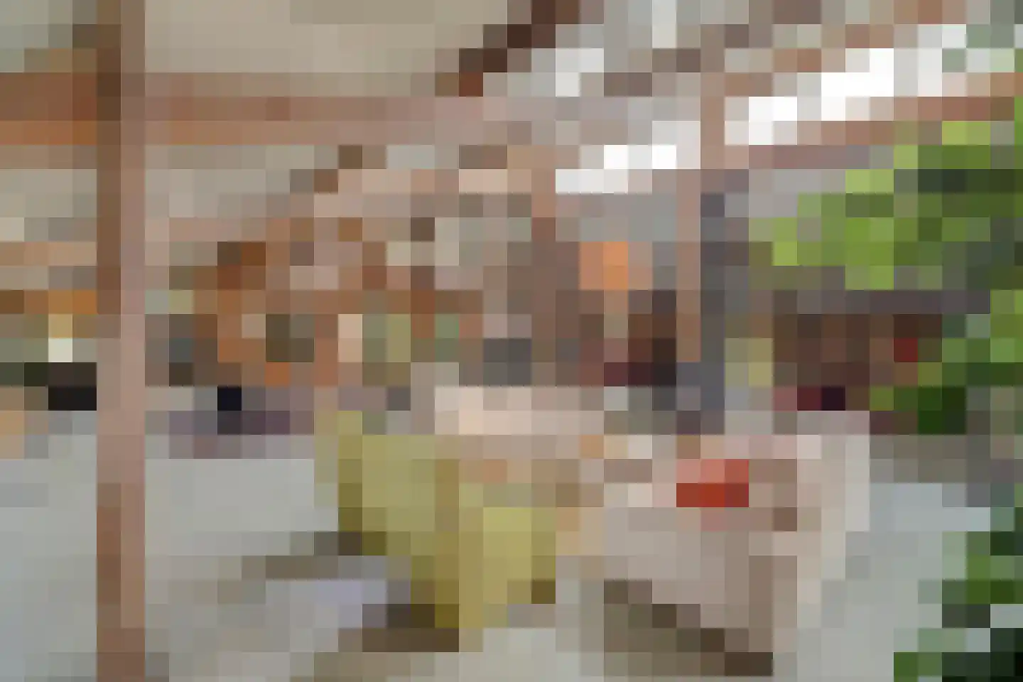 Burggraaf 22 Meerkerk thumbnail 51