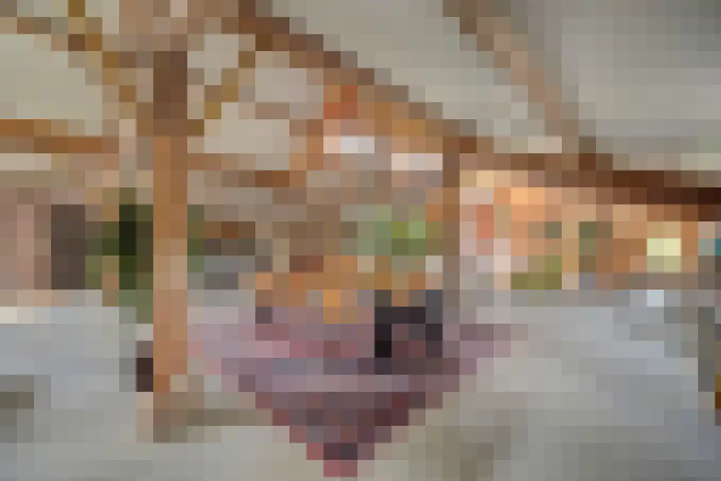 Burggraaf 22 Meerkerk thumbnail 52
