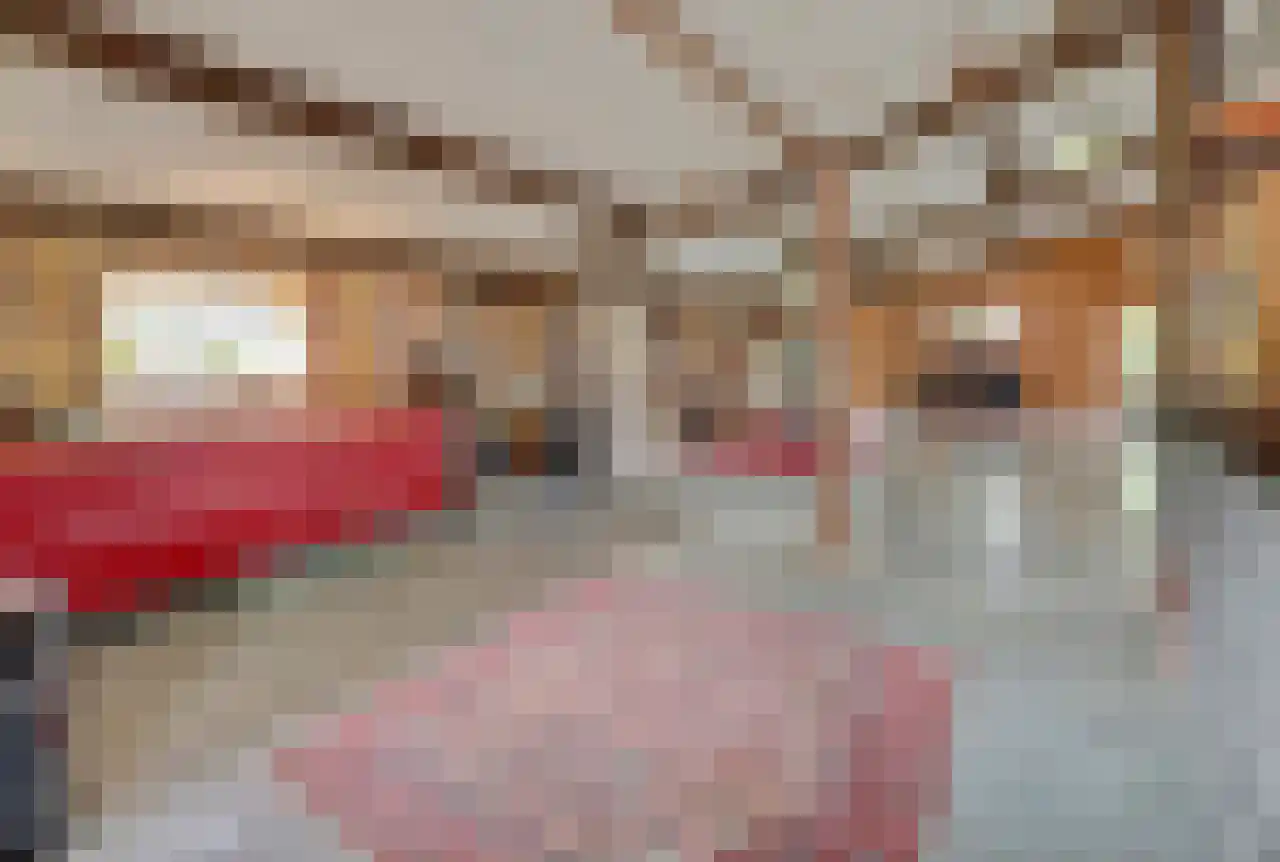 Burggraaf 22 Meerkerk thumbnail 55