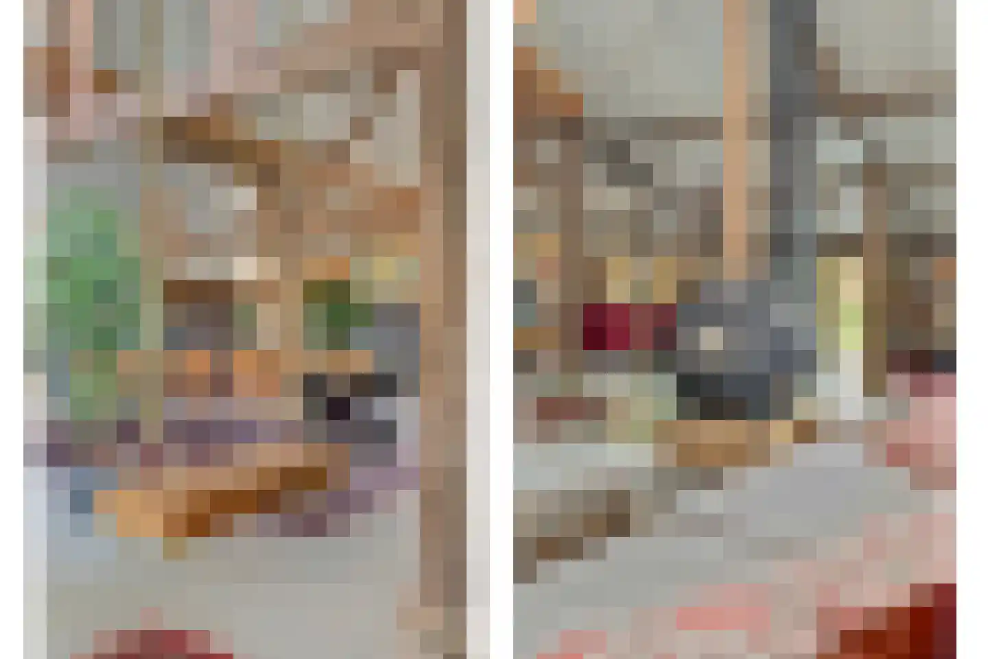 Burggraaf 22 Meerkerk thumbnail 57